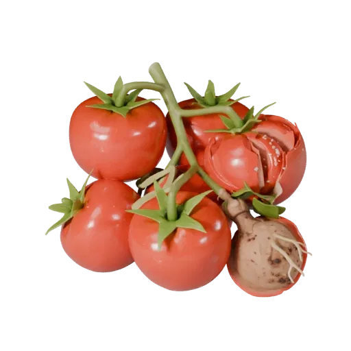 3D-модель кластера нарезанных томатов для визуализации продукта, студийный рендер под углом три четверти, показывающий прожил
