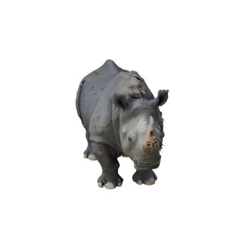 3D модель Black Rhino, вид сбоку игровой камеры, готовый к использованию в Unity ассет животного с детализацией поверхности,