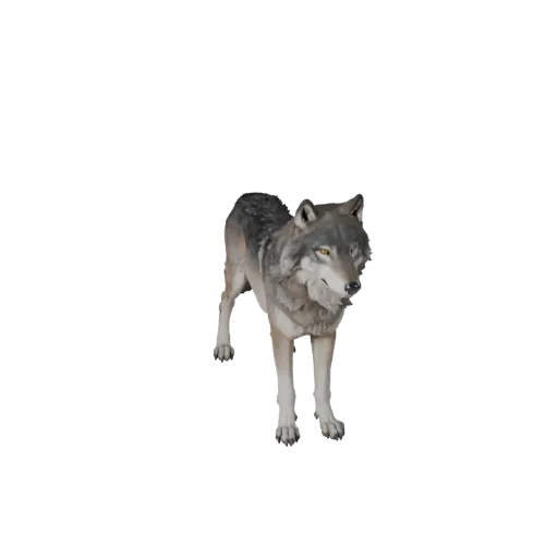 3D-модель серого волка STL, изометрический вид, готовая к печати фигурка животного с плоскостями морды, подушечками лап, силу