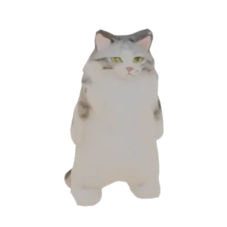 Пушистый кот стоя