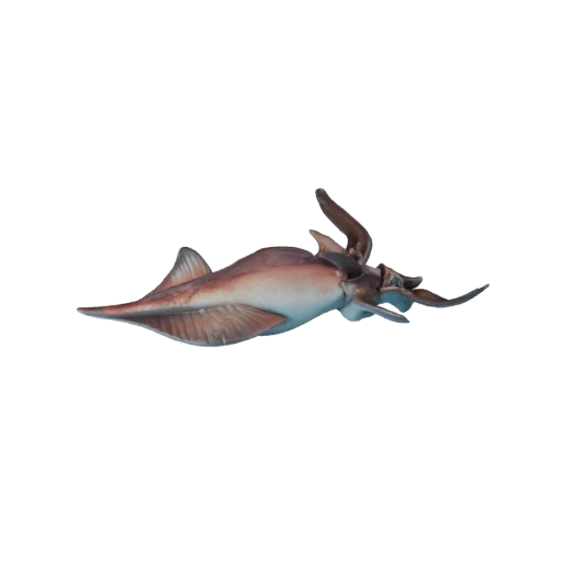 3D модель кальмара для Unity - Готовый игровой ассет, FBX | Без роялти