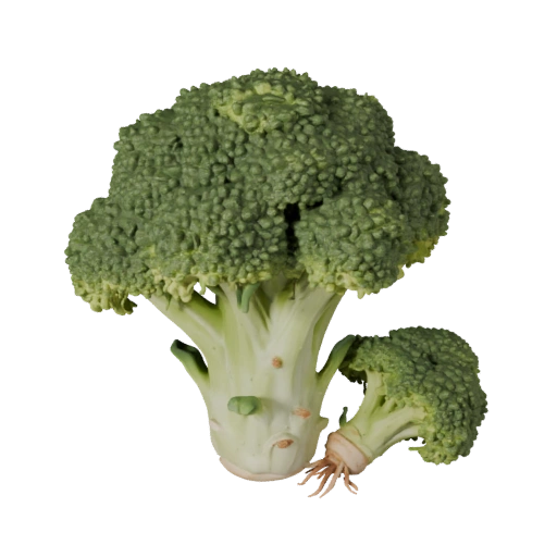 Product Market Broccoli Head 3D Studio Render Asset