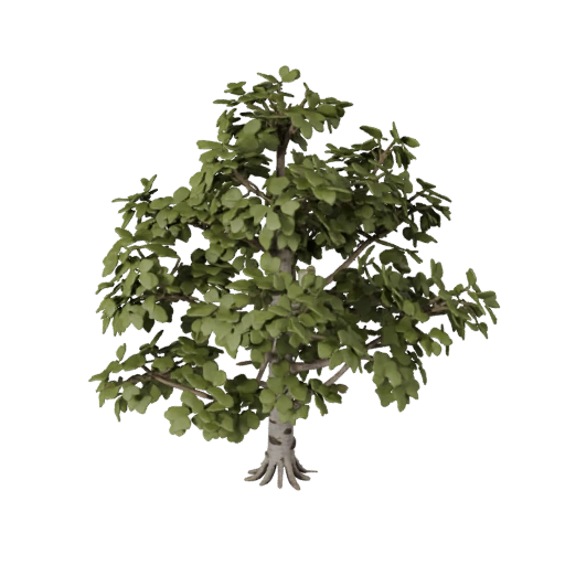 High Poly Birch Grove Set 3D Cinematic Detail Asset