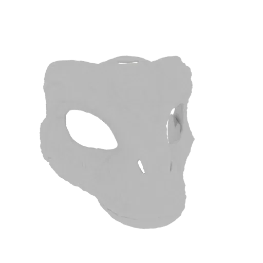 Детализированный 3D рендер белой маски черепа динозавра, демонстрирующий текстурированную поверхность и пустые глазницы на че