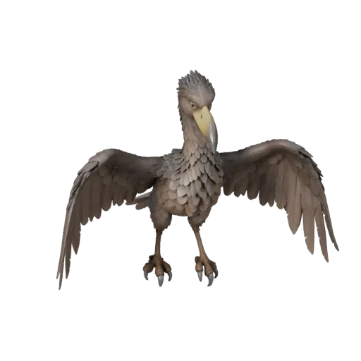 3D модель Альбатроса, вид сбоку игровой камеры, готовый для Unity ассет животного с профилем клюва, многослойным оперением, к