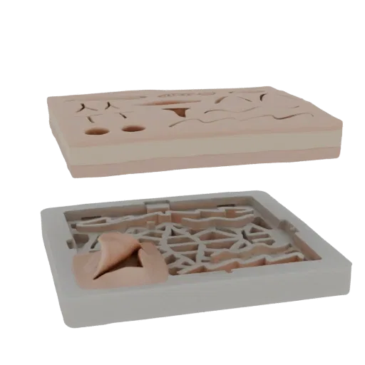 3D модель двухсекционной муравьиной фермы, показывающая верхний наблюдательный слой и основание со сложными туннелями.