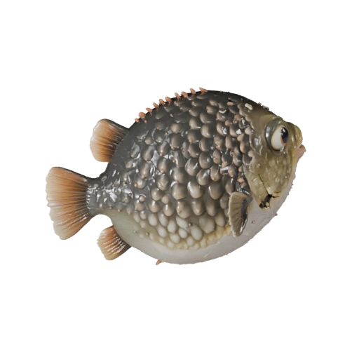 3D модель рыбы-фугу для Blender - PBR ресурс с текстурами | PBR
