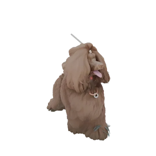 3D модель коричневого пуделя с кудрявой шерстью, высунутым языком, в ошейнике, на белом фоне.