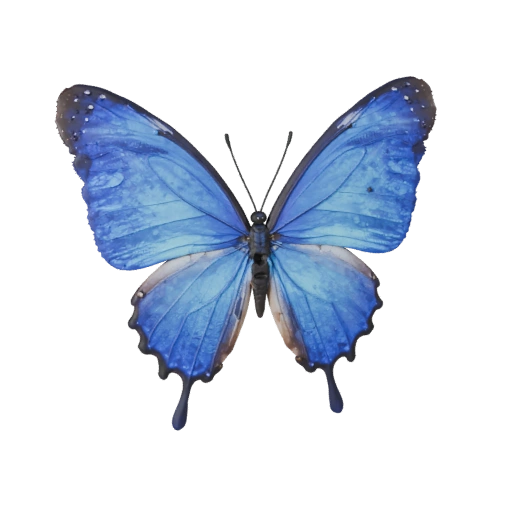 3D модель бабочки голубой морфо для Blender - PBR ресурс с текстурами