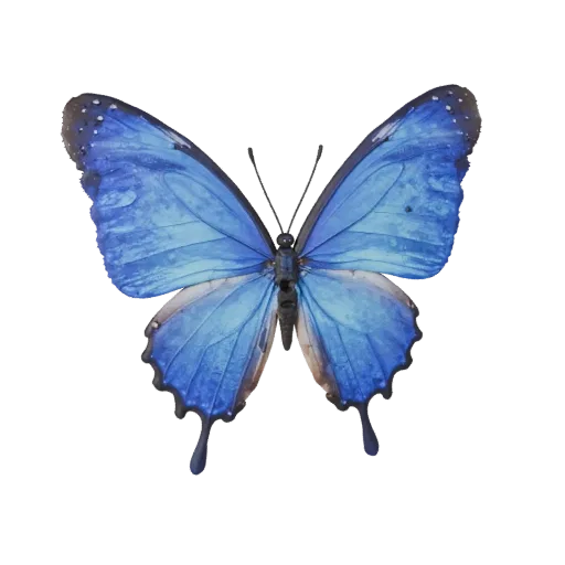3D модель бабочки Морфо синяя, рендер дикой природы сбоку, готовый для Blender ассет животного с сегментированными частями те