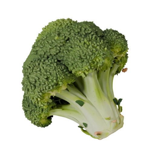 Chopped Broccoli Head 3D Asset for Game Engine Use