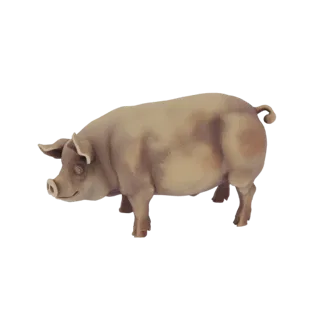 Реалистичная 3D модель свиньи