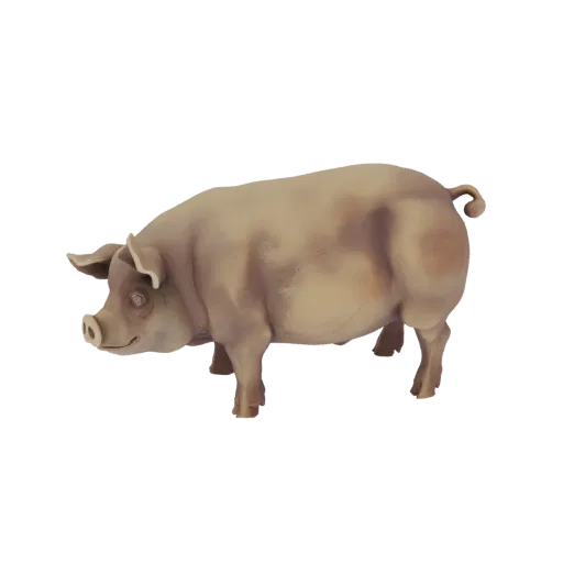 Реалистичная 3D модель светло-коричневой домашней свиньи, стоящей на белом фоне.
