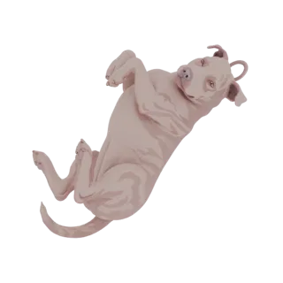 Игривый питбуль 3D модель
