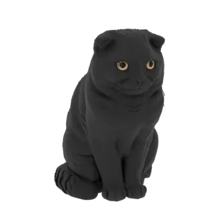 Черный шотландский вислоухий кот 3D модель