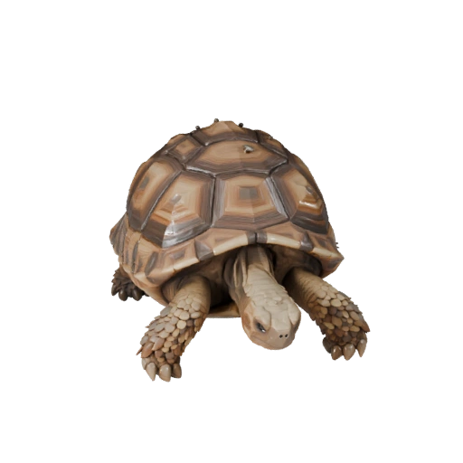 Низкополигональная 3D модель пустынной черепахи - игровой ресурс Unity с FBX