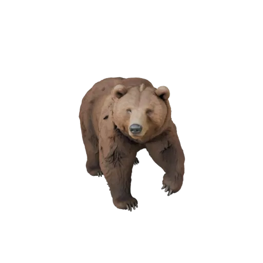 3D модель медведя гризли, вид сбоку в игровом ракурсе, готовый для Unity ассет животного с объемом плеч, детализацией меха, с