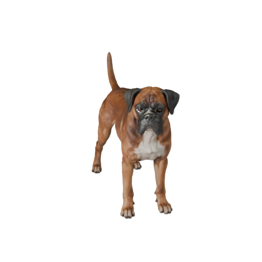 Реалистичная 3D модель боксера - rigged PBR ассет для игр | PBR