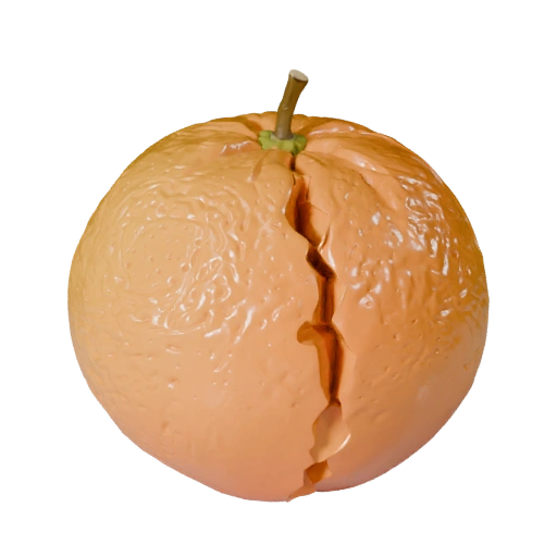 Detailed Sliced Orange 3D Asset for Studio Renders