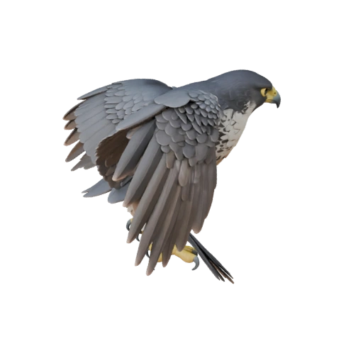 Высокополигональная 3D модель сапсана - STL актив для печати