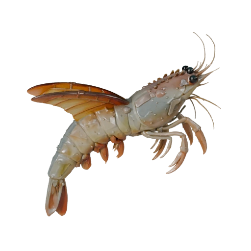 Мультяшная креветка 3D модель - Стилизованный ассет для анимации | PBR