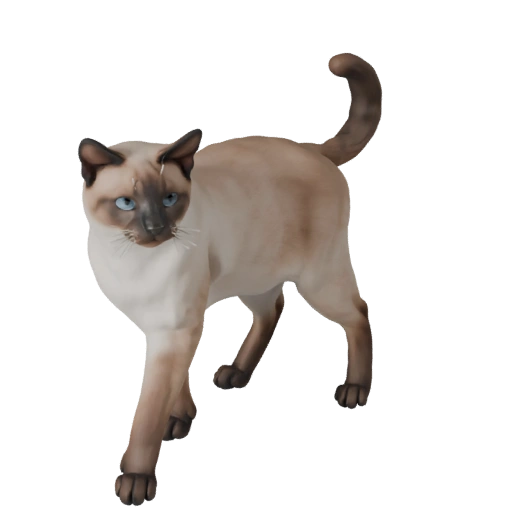 Бирманская кошка 3D модель для Unity - Готовый игровой ассет, FBX | Бесплатно