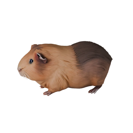 Высокополигональная 3D модель морской свинки - Детализированный STL ресурс для печати