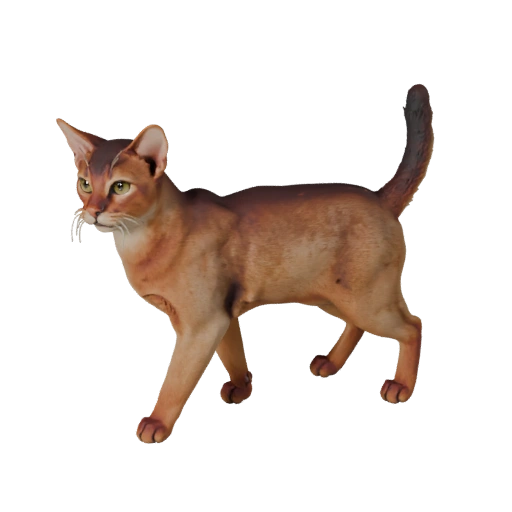 Реалистичная 3D модель абиссинской кошки - rigged PBR ассет для игр