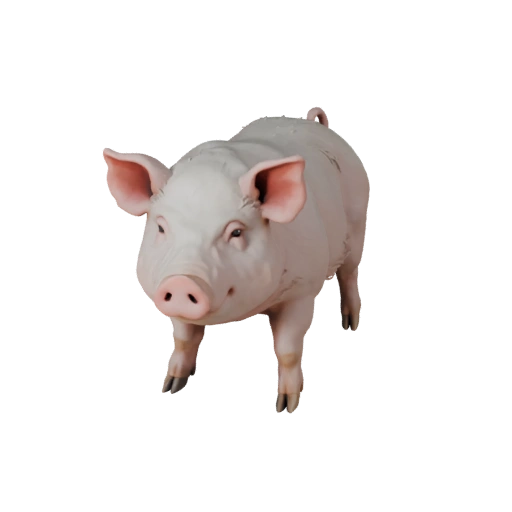 3D модель свиньи для Unity - Готовый игровой ассет, FBX | Бесплатно