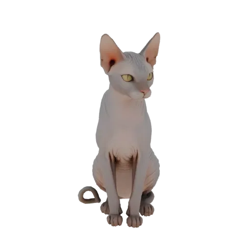 3D модель кота породы Сфинкс, сидящего, с большими ушами и выразительными глазами, на белом фоне