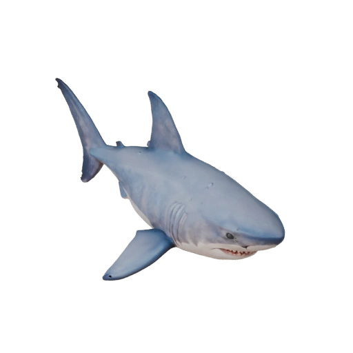 Мультяшная большая белая акула 3D модель - Стилизованный ассет для анимации