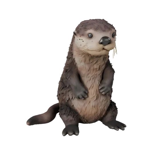 3D модель морской выдры, вид сбоку, рендер дикой природы, готовый для Blender ассет животного с балансом позы, анатомическими