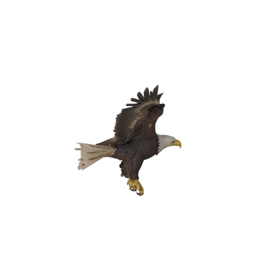 Реалистичная 3D модель белоголового орлана - rigged PBR ассет для игр