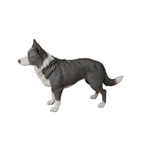 Мультяшная собака бордер колли 3D модель - Стилизованный ассет для анимации