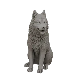 3D модель серого хаски, сидящего с открытым ртом, детализированная текстура шерсти, белый фон