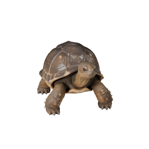 Реалистичная 3D модель черепахи - rigged PBR ассет для игр | PBR