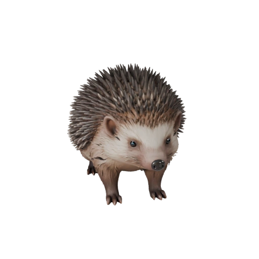 Реалистичный ёж 3D модель - rigged PBR ассет для игр | PBR