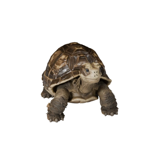 3D модель черепахи для Blender - PBR ресурс с текстурами | PBR