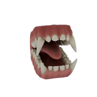A 3D render of a set of vampire fangs and gums, with sharp, prominent teeth and a visible tongue, against a white background.