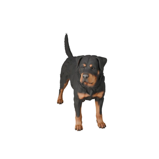 3D модель собаки породы ротвейлер для Blender - PBR ресурс с текстурами