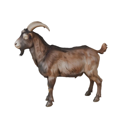 3D модель козы для Blender - PBR ассет с текстурами | Бесплатно
