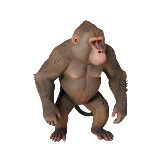 Реалистичный павиан 3D модель - rigged PBR ассет для игр | PBR