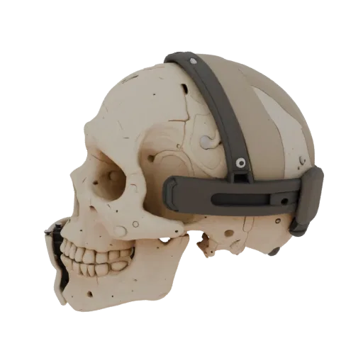 3D модель анатомического черепа человека с футуристическим шлемом, вид сбоку