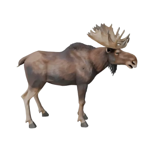 Низкополигональная 3D модель лося, вид сбоку в игровой камере, низкополигональный ассет животного с направлением шерсти, форм