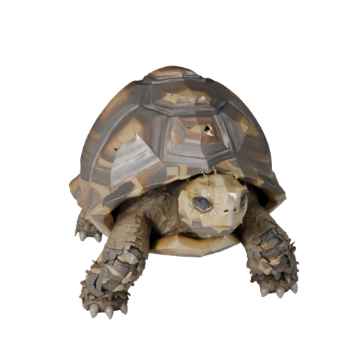 Низкополигональная 3D модель черепахи - Игровой ассет для Unity с FBX | PBR
