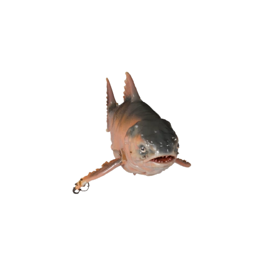 Реалистичная 3D модель лосося - rigged PBR ассет для игр | PBR