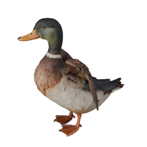 3D модель утки, вид сбоку, рендер дикой природы, готовый для Blender ресурс животного с направлением перьев, логикой складыва