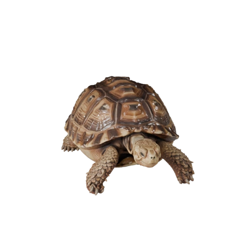 Высокополигональная 3D модель пустынной черепахи - Детальный STL ресурс для печати