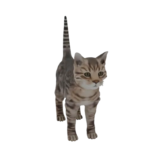 3D-рендер милого полосатого котенка, стоящего на белом фоне, смотрящего вперед с высоко поднятым хвостом.