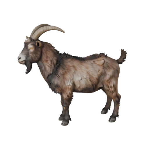 Реалистичная 3D модель козы - rigged PBR ассет для игр | Бесплатно